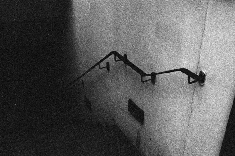 Reflections on light and dark