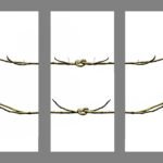 Remembering and resistance