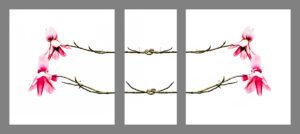 Read more about the article Remembering and resistance