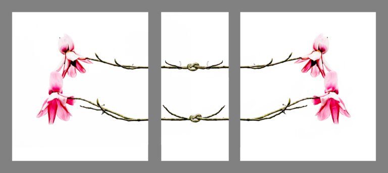 Remembering and resistance