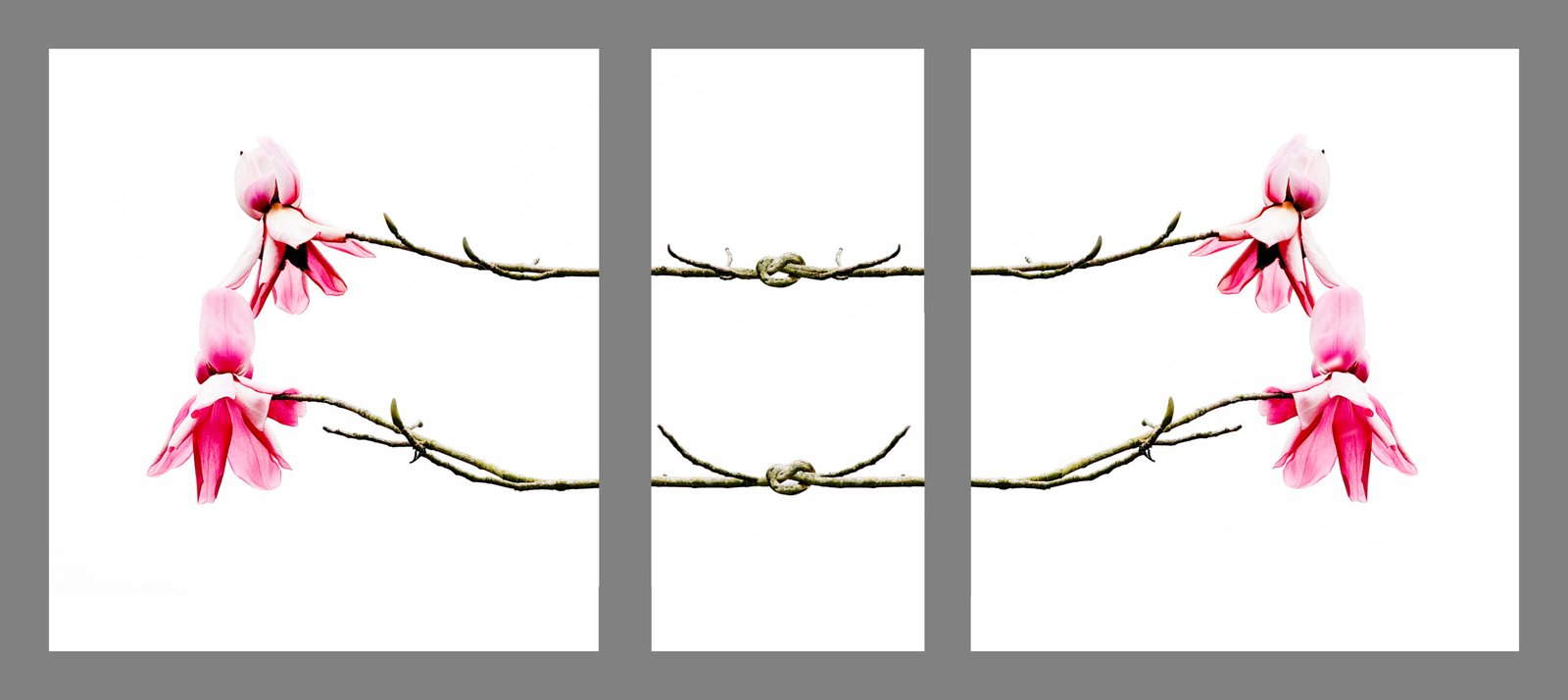 You are currently viewing Remembering and resistance