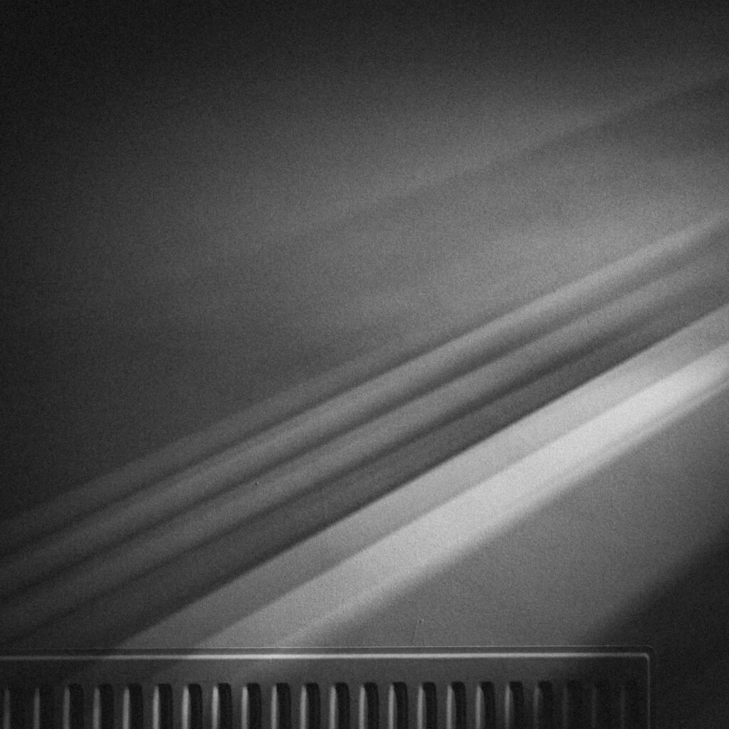Michael Ostrolenk_Take The Path That Offers You The Most Light